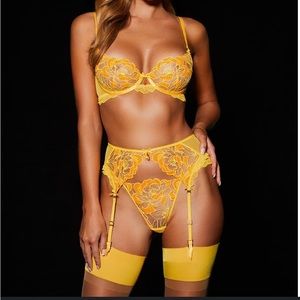 RARE 3 PIECE Mia Honey Birdette Lingerie Set